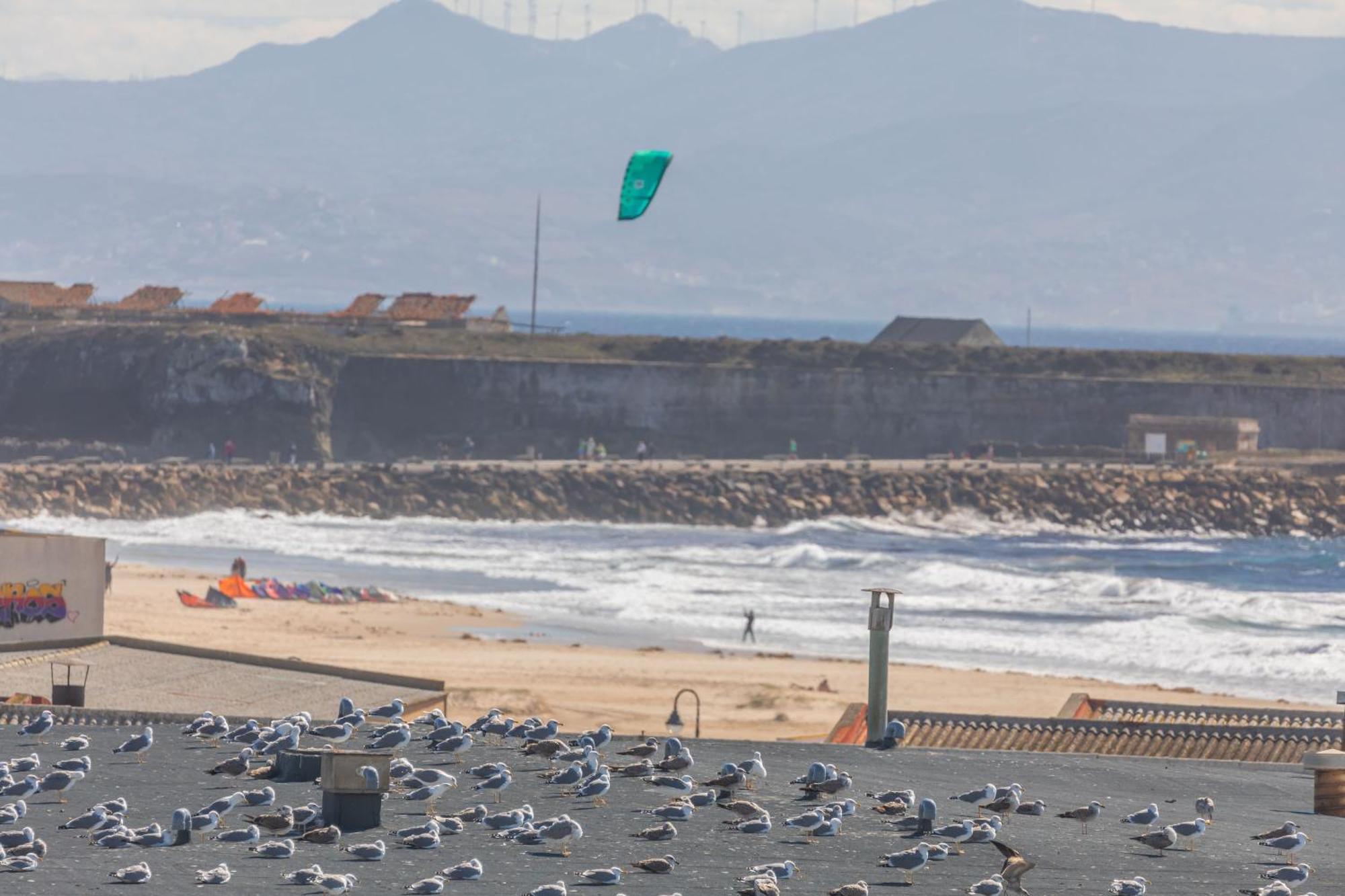 Los Lances Beach Apartments Tarifa Bagian luar foto
